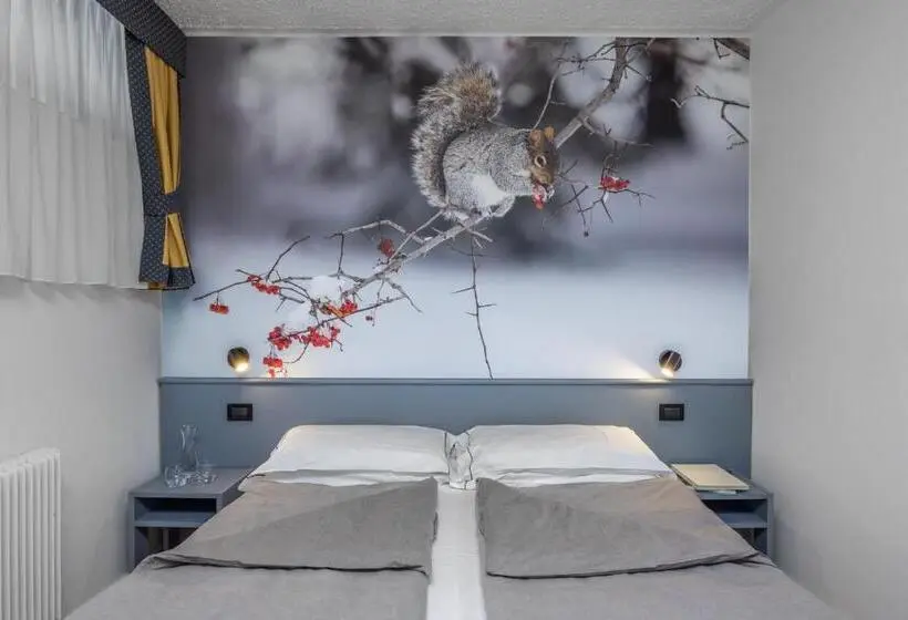 Economy Triple Room, Pippo