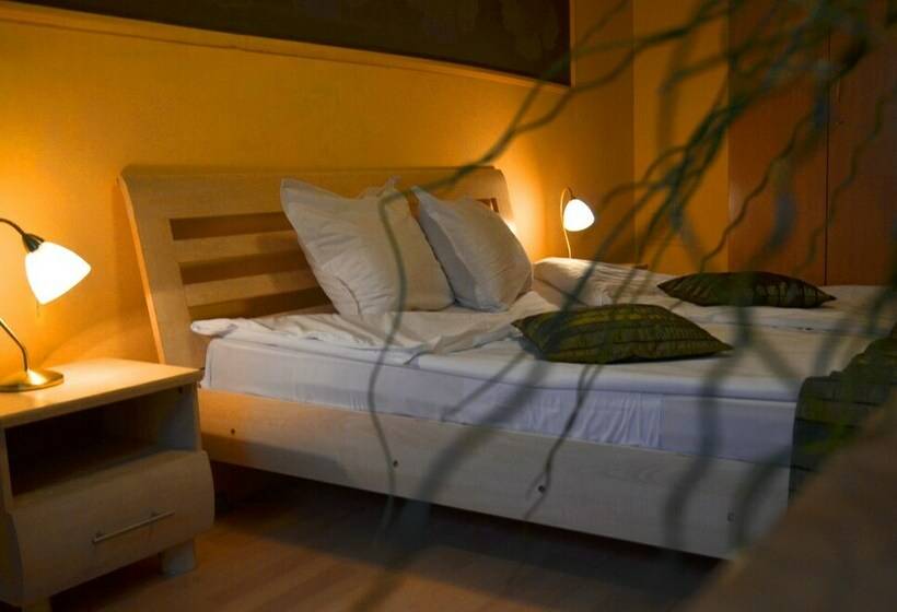 스탠다드 룸, Sorbona