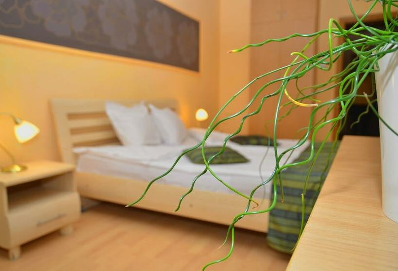 스탠다드 룸, Sorbona