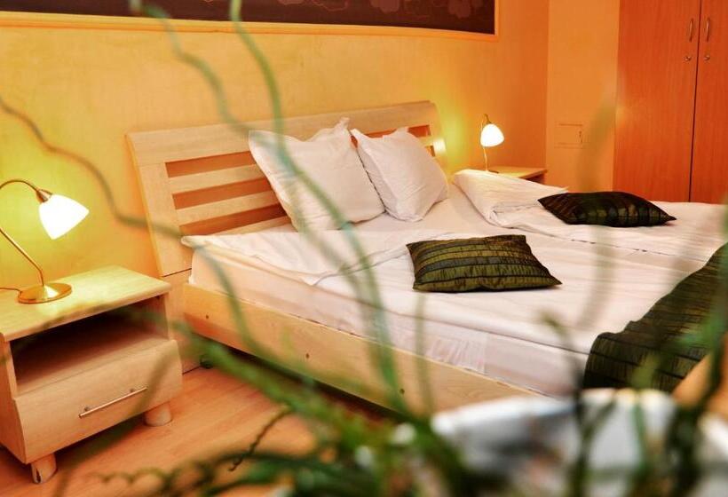 스탠다드 룸, Sorbona