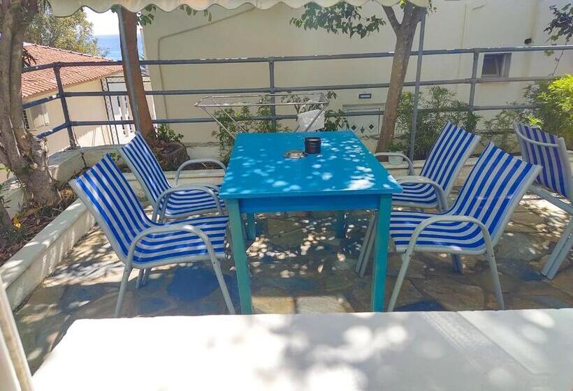 スタンダードルーム, Menta Studios