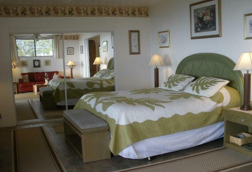 带大床的套房, Belle Vue Kona Inc