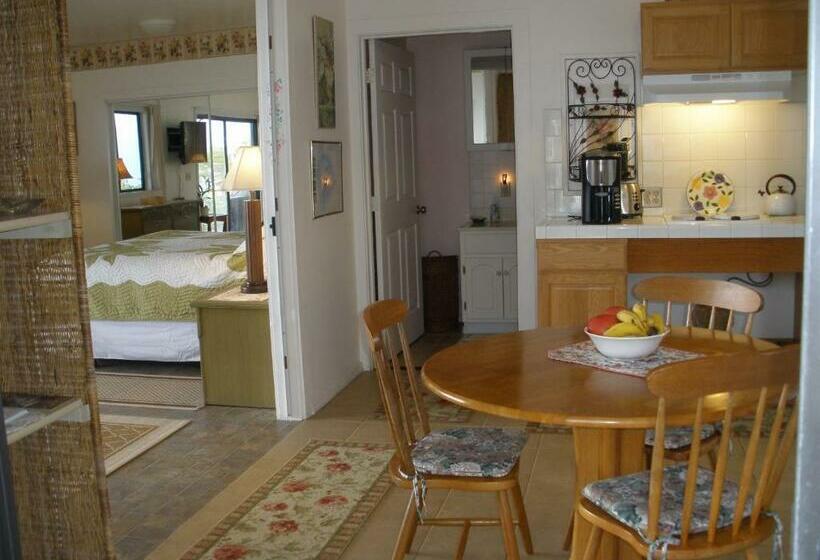 带大床的套房, Belle Vue Kona Inc