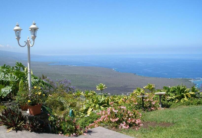 带大床的套房, Belle Vue Kona Inc