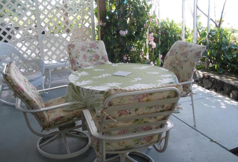 带大床的复式套间, Belle Vue Kona Inc