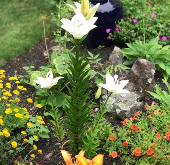 Люкс, Bourne Bed And Breakfast