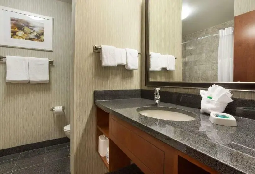 Deluxe-huone King-vuode, Drury Plaza Hotel Indianapolis Carmel