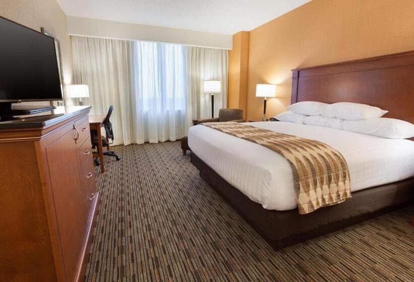 带大床的高级房间, Drury Plaza Hotel Indianapolis Carmel