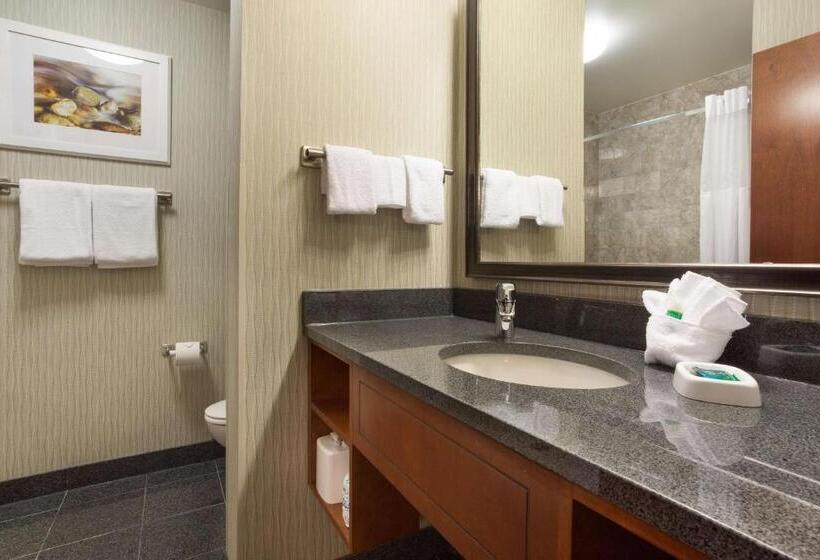 适合残疾人士使用的高档房间, Drury Plaza Hotel Indianapolis Carmel