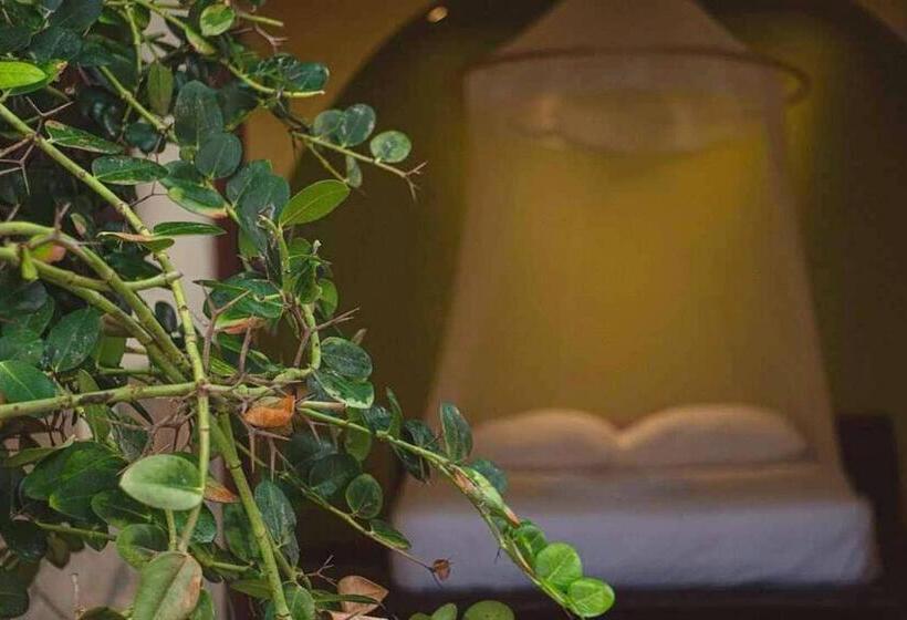 غرفة قياسية, Cabañas Punta Placer