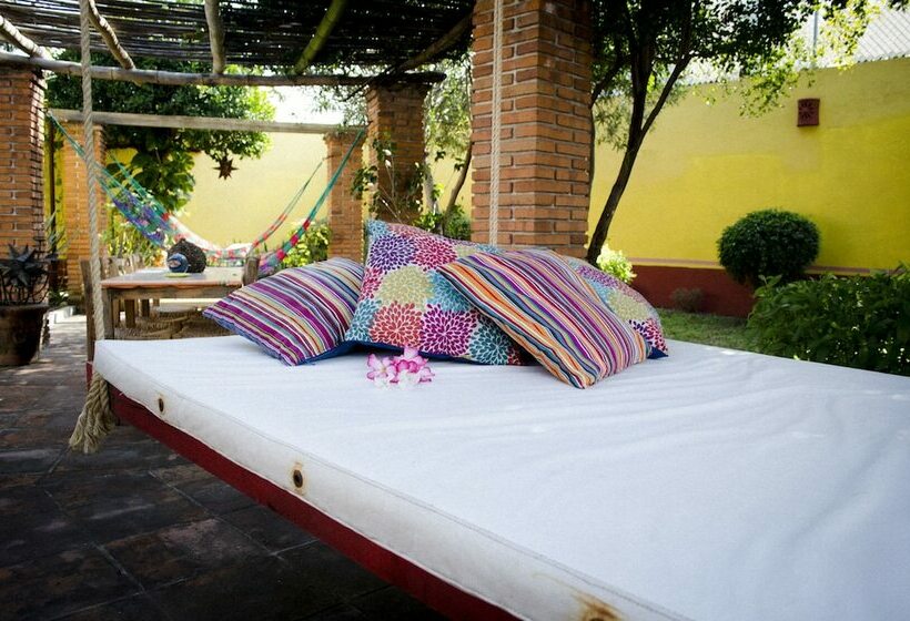 جناح, Casa Alvarada