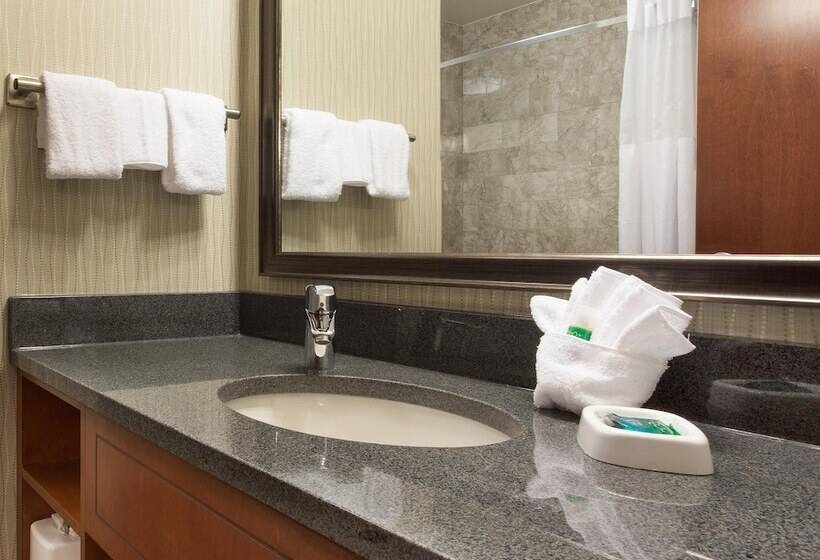 סוויטה מותאמת לאדם עם מוגבלויות, Drury Plaza Hotel Indianapolis Carmel