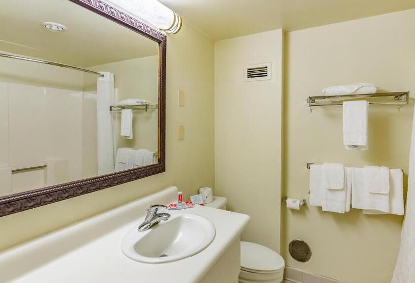 스탠다드 룸, Econo Lodge Inn & Suites Radfordblacksburg Area