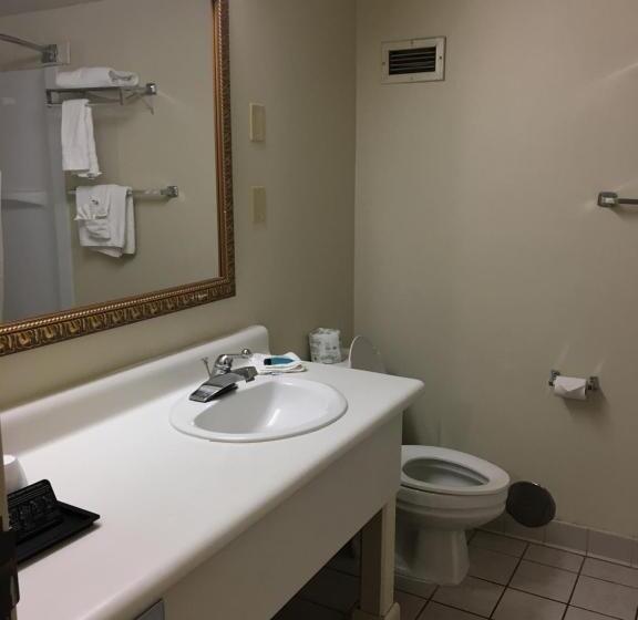 Номер Стандарт Адаптированный для Инвалидов, Econo Lodge Inn & Suites Radfordblacksburg Area