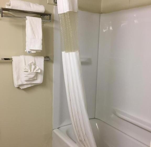 장애인을 위한 스탠다드 룸, Econo Lodge Inn & Suites Radfordblacksburg Area