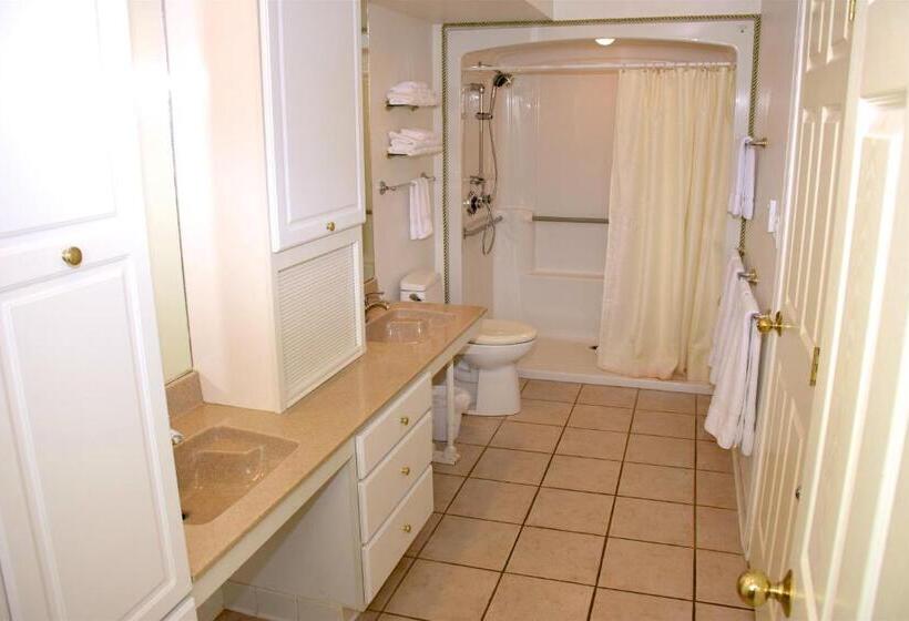 Люкс, Longliner Lodge And Suites