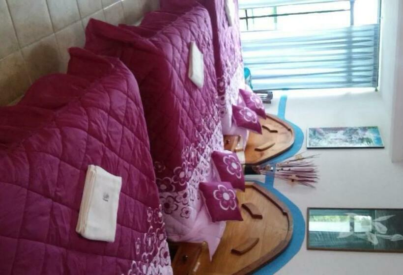 스탠다드 룸, Mixti