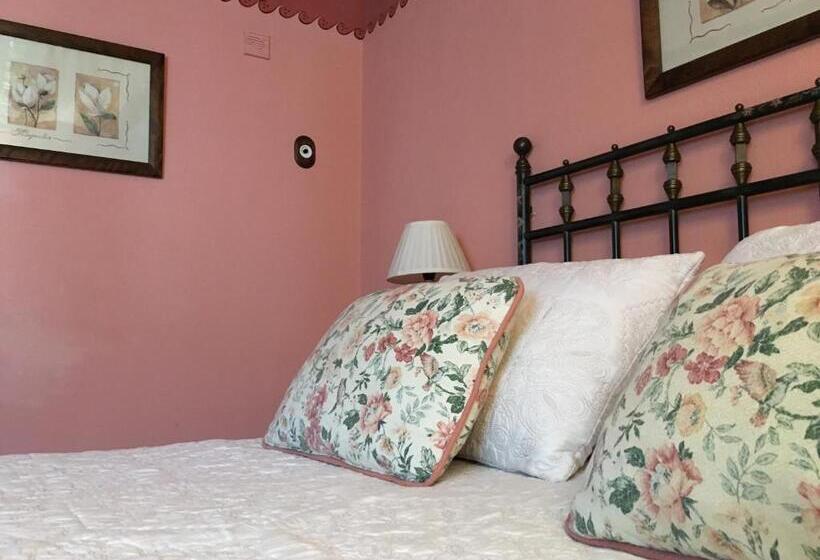 スタンダードルーム, La Casa Del Abuelo