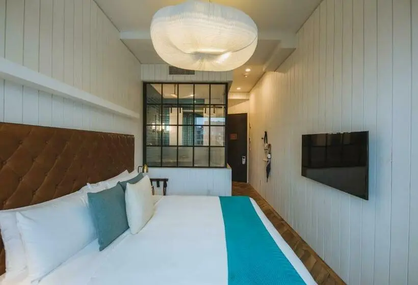 Standard-huone, Arlo Williamsburg