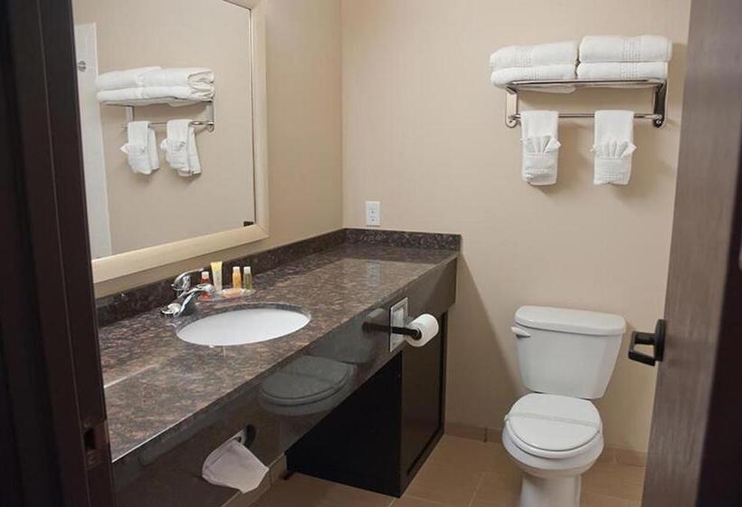 غرفة قياسية سرير كينج, Van Hook Territorial Inn