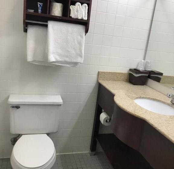 غرفة قياسية فردية, Cci Express Inn