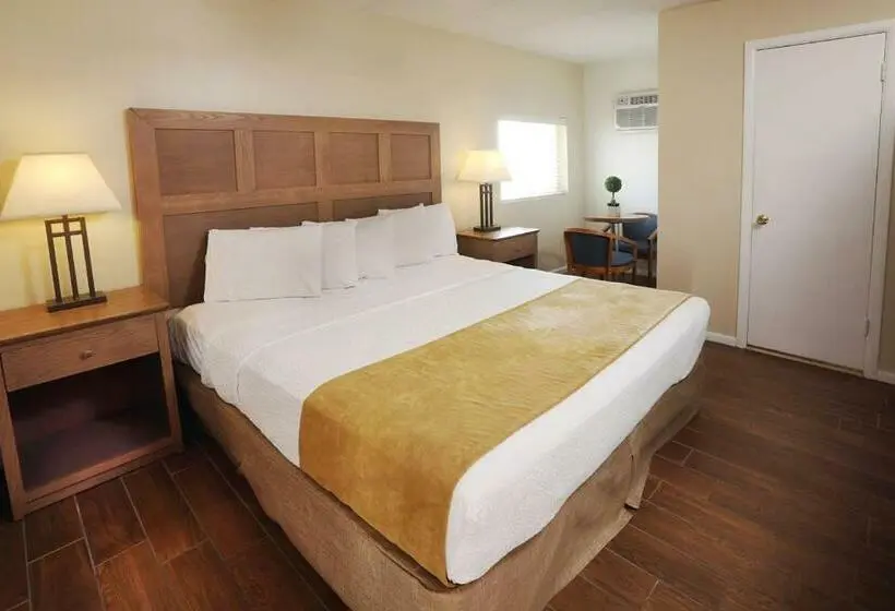 キングサイドベッドのスタンダードワンルーム, Matador Oceanfront Resort