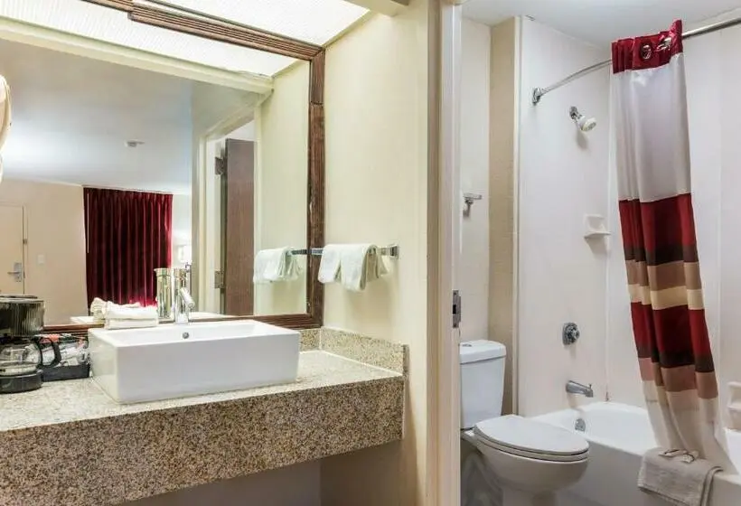 Superior-huone King-vuode, Red Roof Inn Texarkana