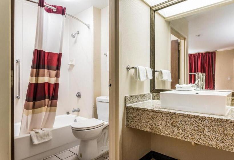 Номер Deluxe, Red Roof Inn Texarkana