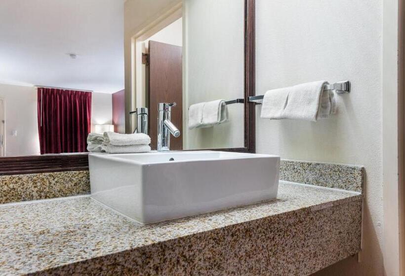 غرفة ديلوكس, Red Roof Inn Texarkana