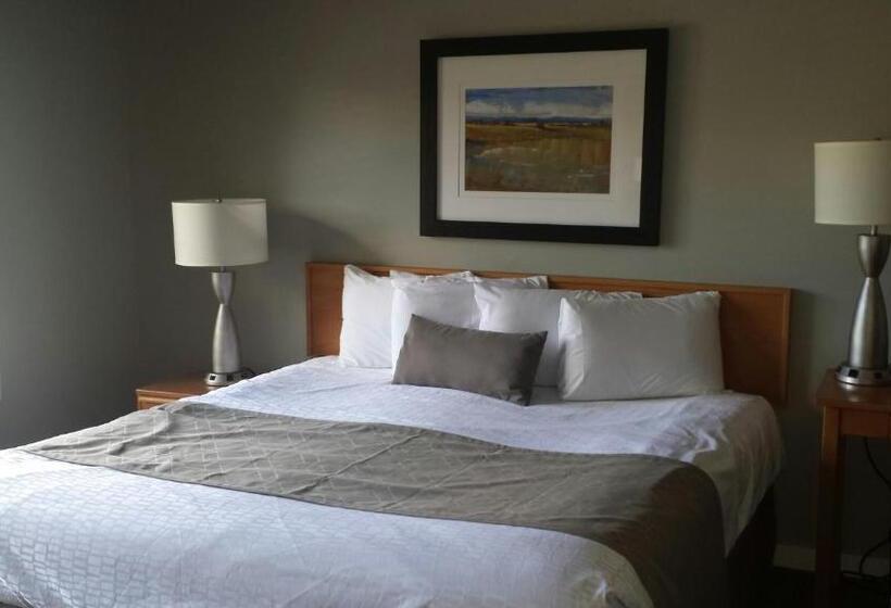 اتاق استاندارد با تخت بزرگ, North Star Lodge & Resort