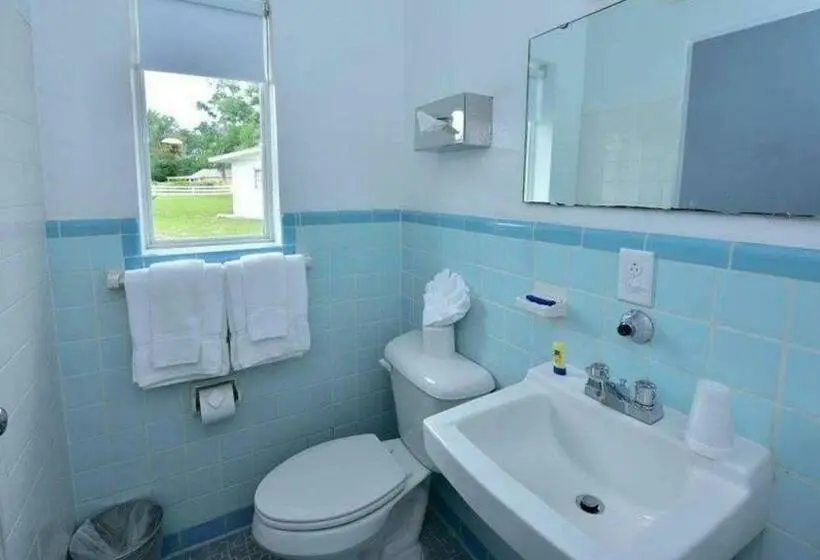 Standard-huone 2 Parivuodetta, Sun Plaza Motel