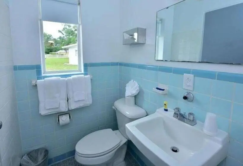 Standard-huone, Sun Plaza Motel
