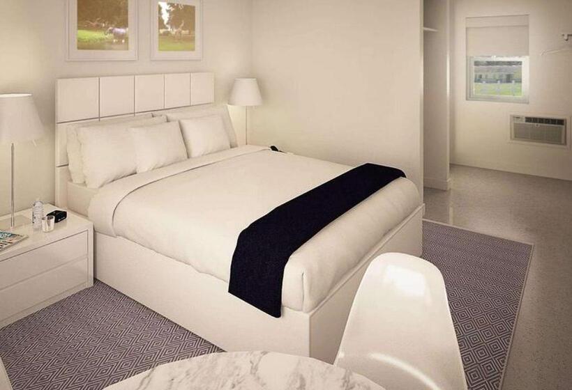 غرفة قياسية, Sun Plaza Motel