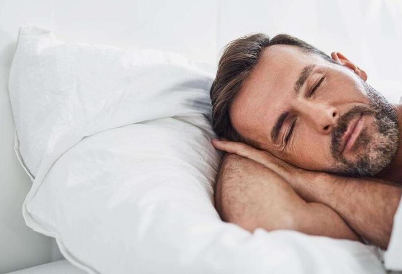 غرفة ديلوكس سرير كينج, Sun Plaza Motel