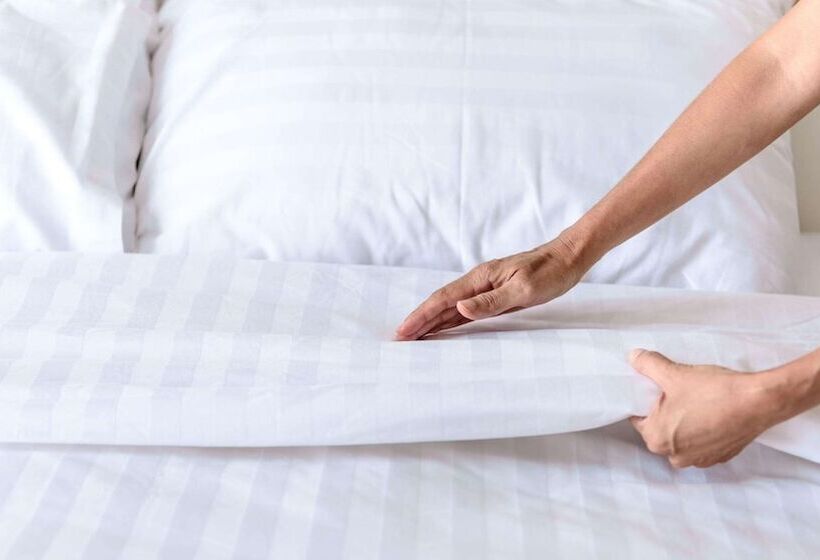 غرفه قياسيه سريرين مزدوجين, Sun Plaza Motel