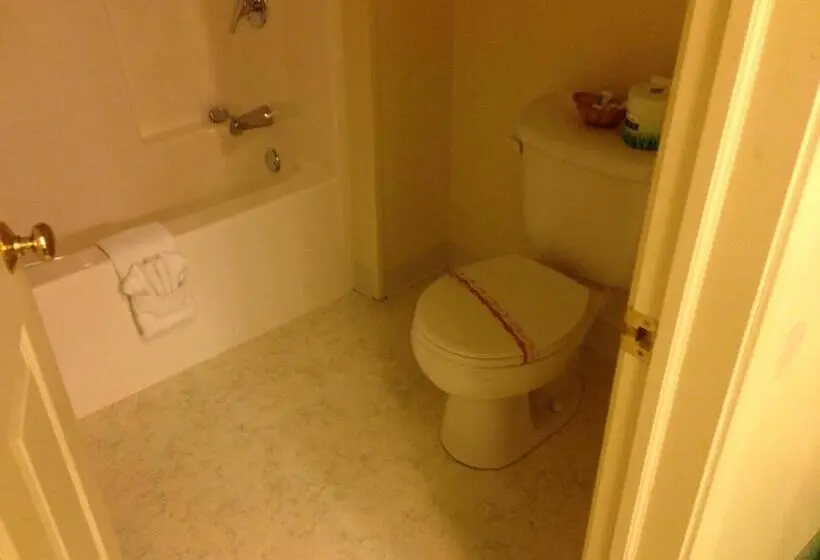 Standard-huone, The Falls Motel
