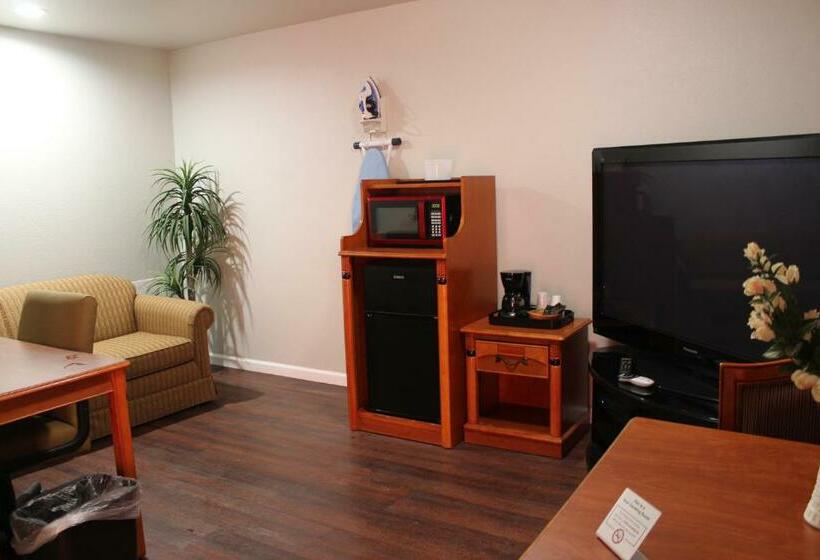 标准间, Thunderbird Motel Las Vegas/ New Mexico