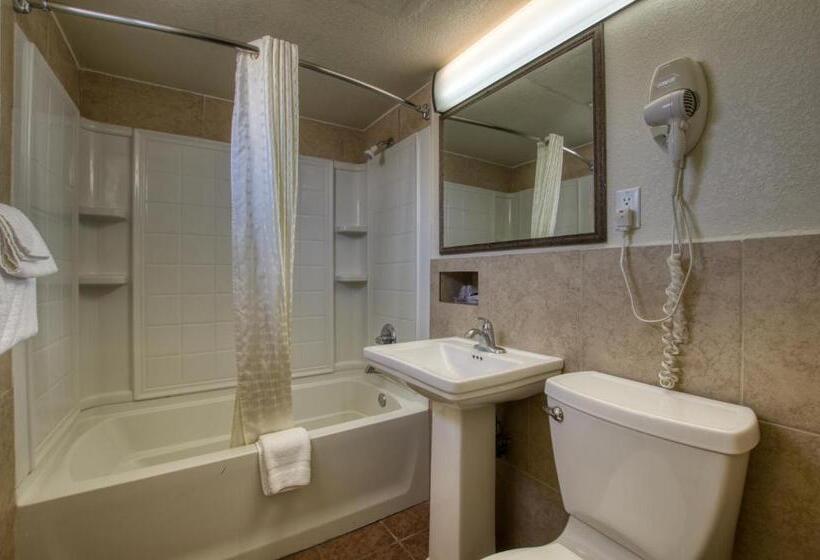 غرفة قياسية سرير كينج, Western Motel