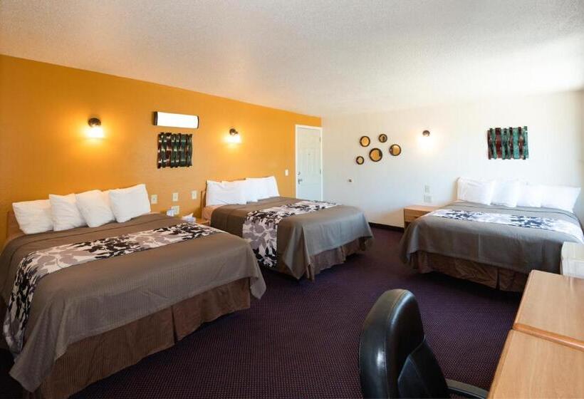 غرفة قياسية ثلاثية ذات اطلالة, Western Motel