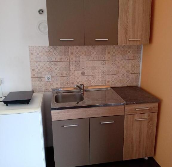 اتاق استاندارد سه نفره, Vila Premier Sokobanja