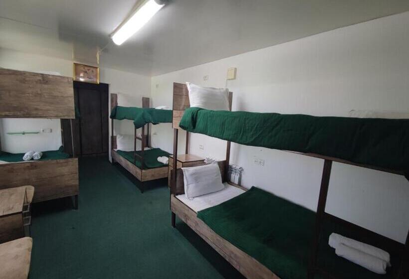 Geteiltes Mehrbettzimmer, Green