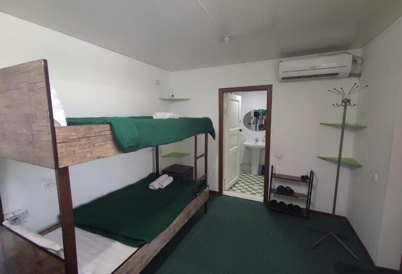 Geteiltes Mehrbettzimmer, Green