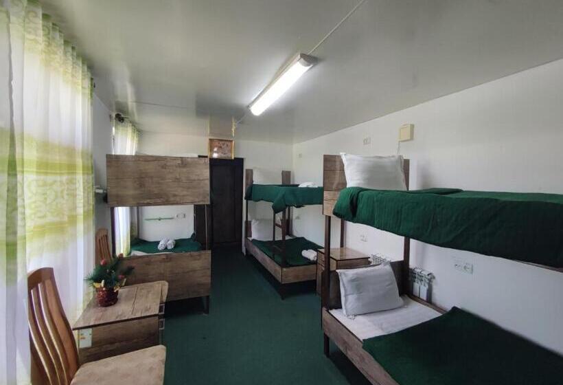 Geteiltes Mehrbettzimmer, Green