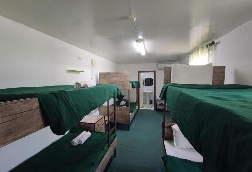 Geteiltes Mehrbettzimmer, Green