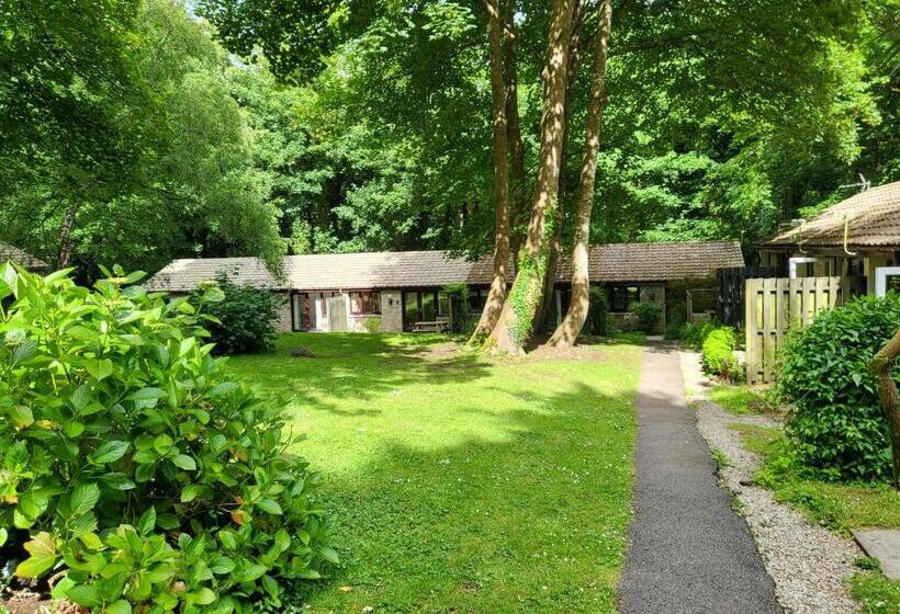 شقة غرفة واحدة مطلة على الحديقة, Bumbeldink