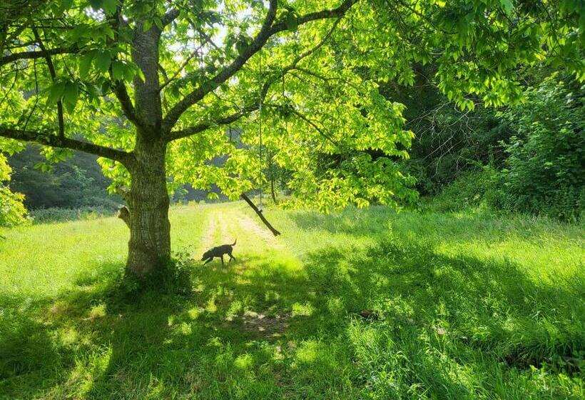 شقة غرفة واحدة مطلة على الحديقة, Bumbeldink