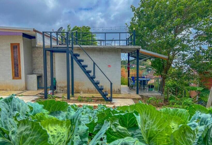 Номер Deluxe, Rai Saeng Tawan At Phu Thap Buek