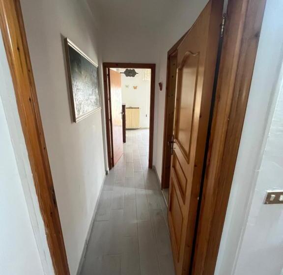 Standard Szoba, Civico 41