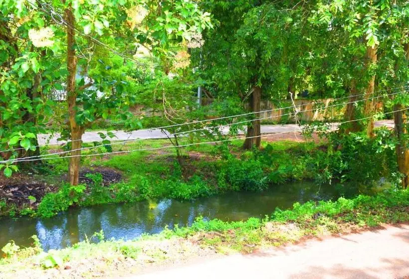 スタンダードルーム, Sasanda Villa And Yala Safari Place