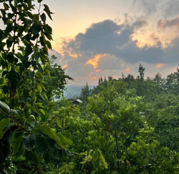 اتاق استاندارد, Shromantic Garden